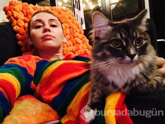Instagramda ünlüler 31.10.2016