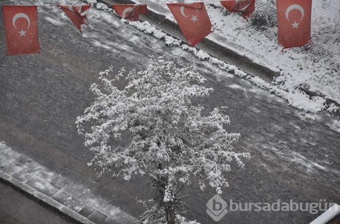 Yurttan kar manzaraları
