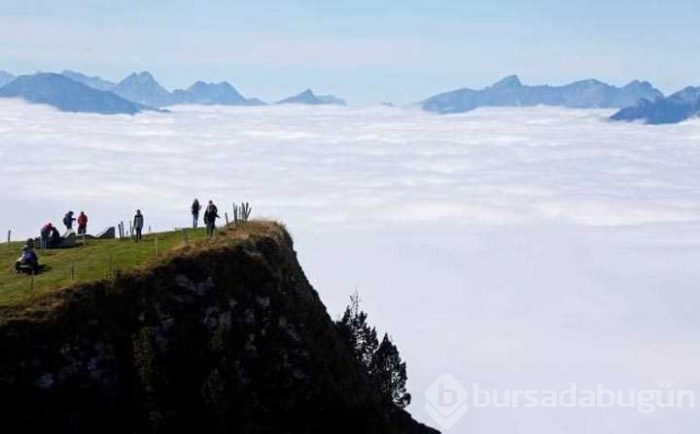 Günün en çok paylaşılan fotoğrafları

