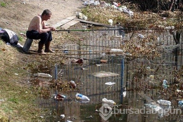 Onları başka yerde aramayın