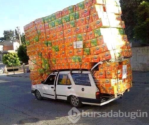 Onları başka yerde aramayın