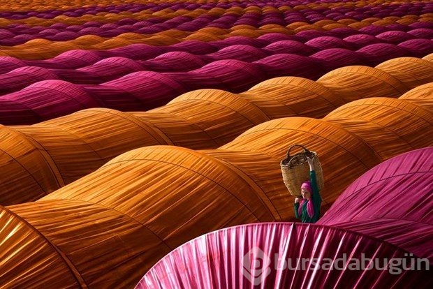 2016 Siena Uluslararası Fotoğraf Ödülleri'ne layık görülen 10 fotoğraf