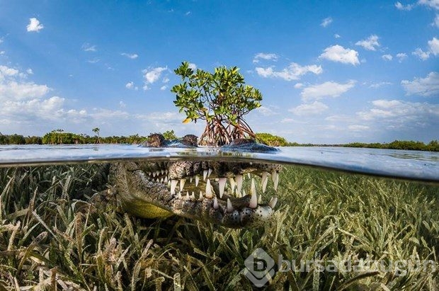 2016 Siena Uluslararası Fotoğraf Ödülleri'ne layık görülen 10 fotoğraf