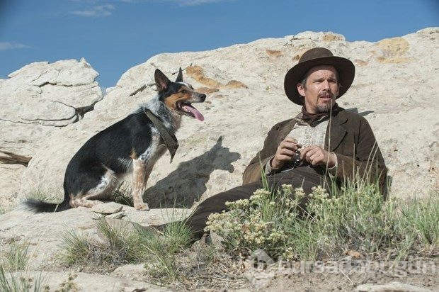 Hollywood'un en akıllı köpeği