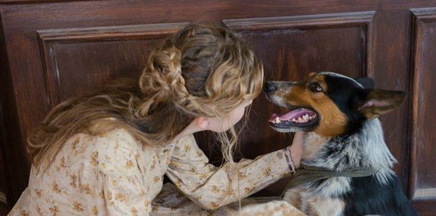 Hollywood'un en akıllı köpeği