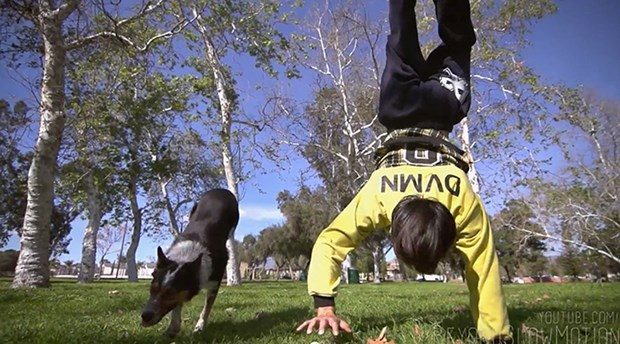 Hollywood'un en akıllı köpeği