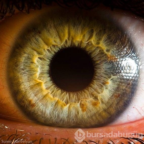İnsan gözü kaç megapiksel Foto Galerisi - 8 - Bursadabugun.com