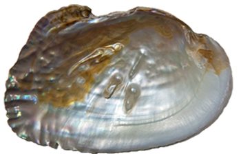Doğal mineral taşlar ve ve mucizevi faydaları