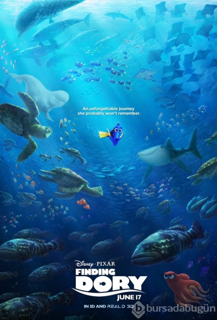 En popüler filmler