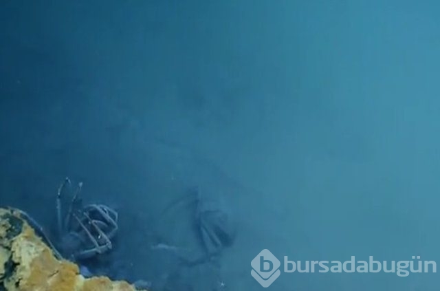 Burası ölüm jakuzisi!