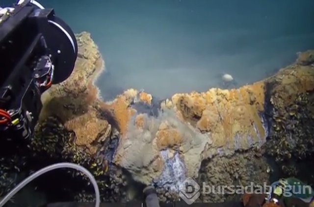 Burası ölüm jakuzisi!