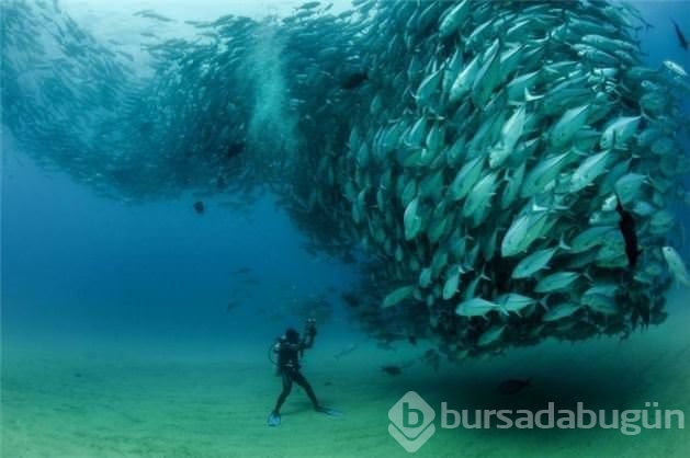 Doğru anlarda çekilmiş fotoğraflar