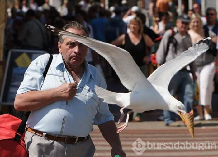 Doğru anlarda çekilmiş fotoğraflar