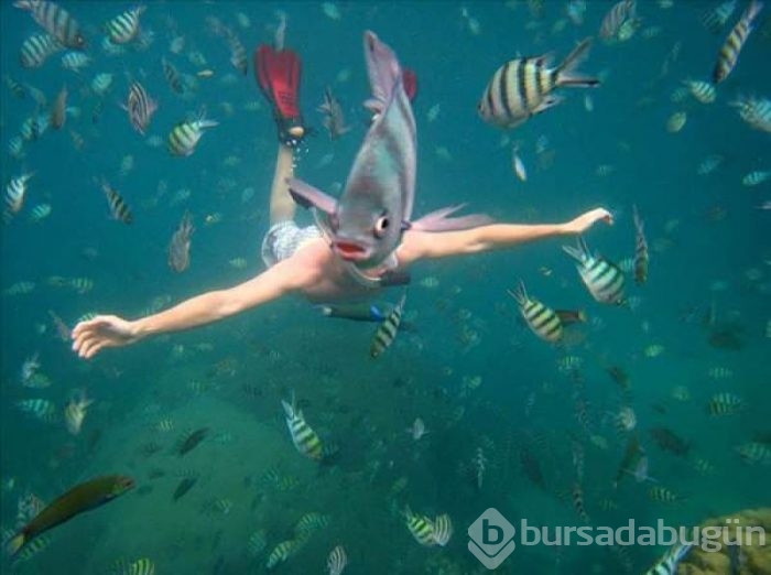 Doğru anlarda çekilmiş fotoğraflar