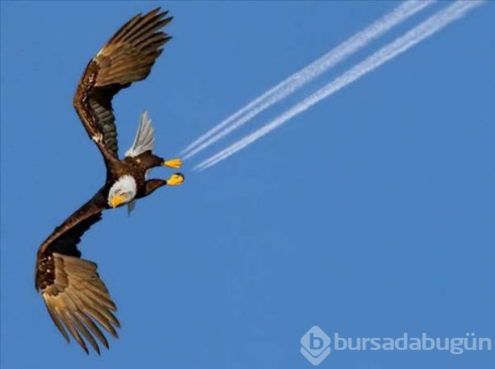 Doğru anlarda çekilmiş fotoğraflar