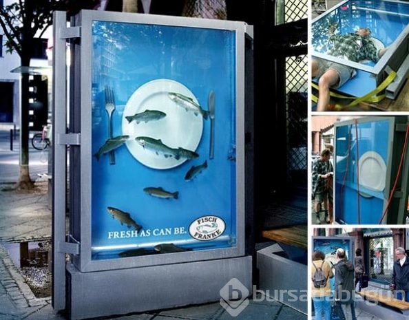 Zeka dolu durak reklamları