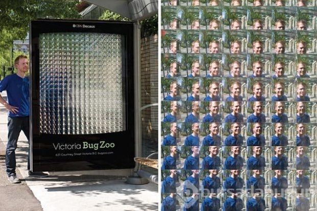 Zeka dolu durak reklamları