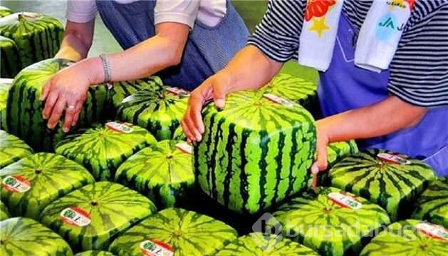 Dünyanın en pahalı meyveleri