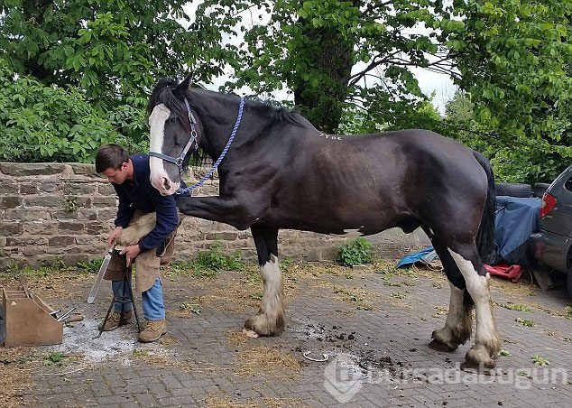 Anlamak için 2 kere bakın