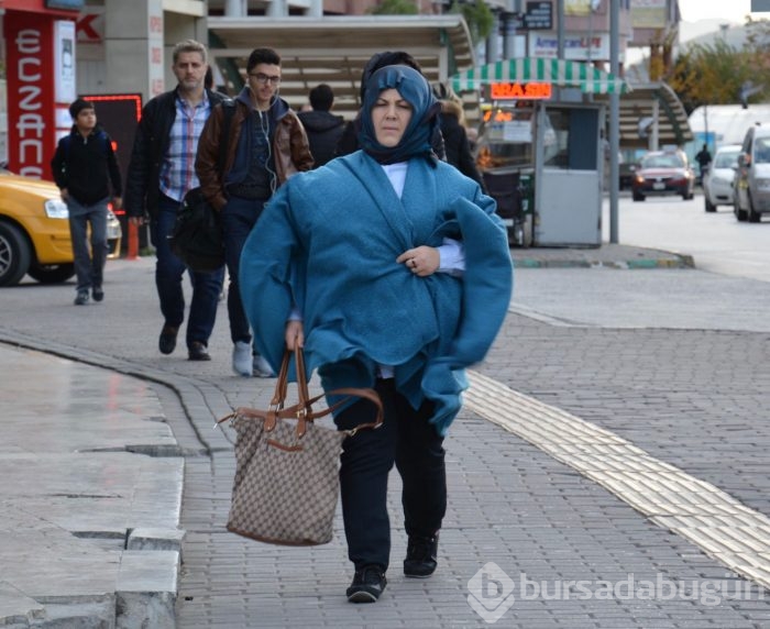 Bursa'da lodos hayatı olumsuz etkiliyor