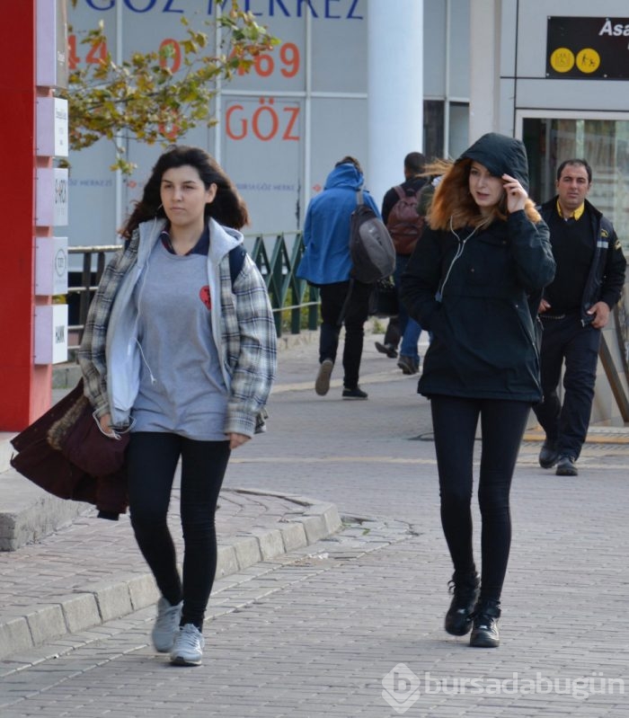 Bursa'da lodos hayatı olumsuz etkiliyor