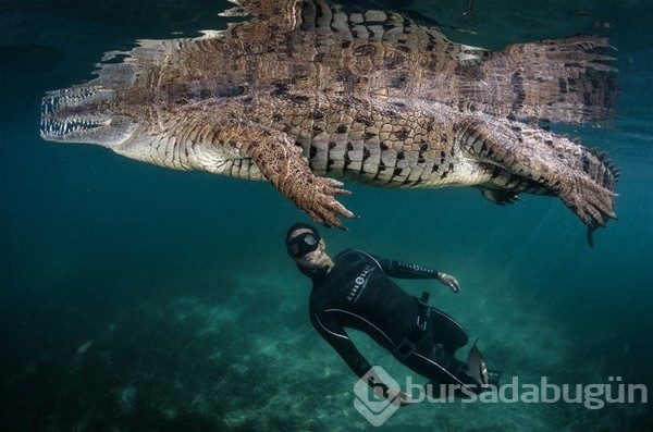 2016 National Geographic yarışmasından en iyi kareler
