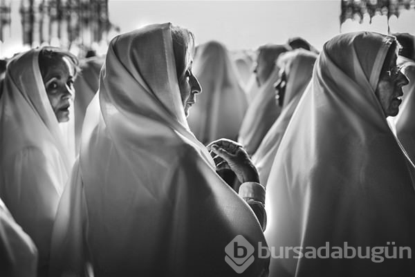 2016 National Geographic yarışmasından en iyi kareler