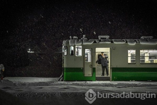 2016 National Geographic yarışmasından en iyi kareler