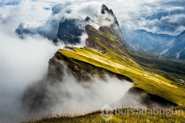2016 National Geographic yarışmasından en iyi kareler