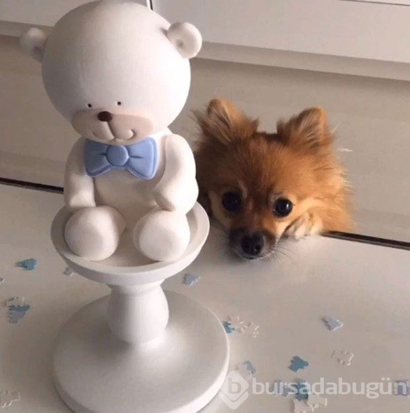 İpek Özkök oğlu için babyshower yaptı