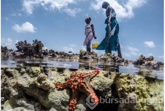Zanzibar'ın ahtapot avcıları