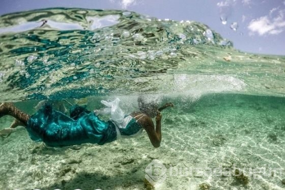 Zanzibar'ın ahtapot avcıları