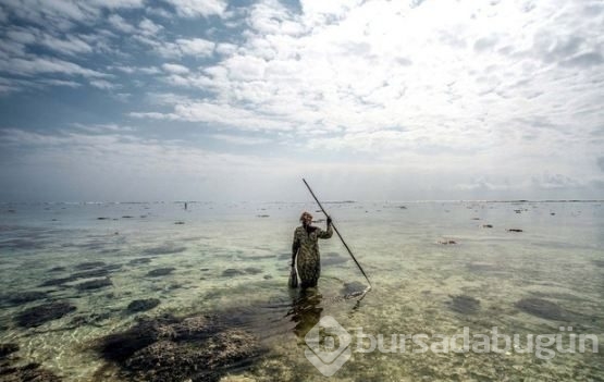 Zanzibar'ın ahtapot avcıları