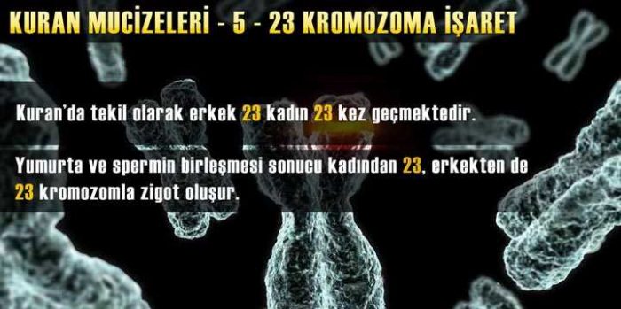 Kuran-ı Kerim mucizeleri