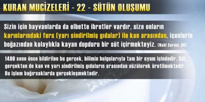 Kuran-ı Kerim mucizeleri