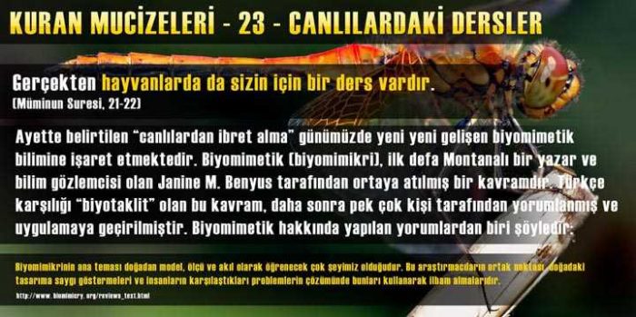 Kuran-ı Kerim mucizeleri
