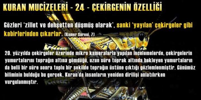 Kuran-ı Kerim mucizeleri