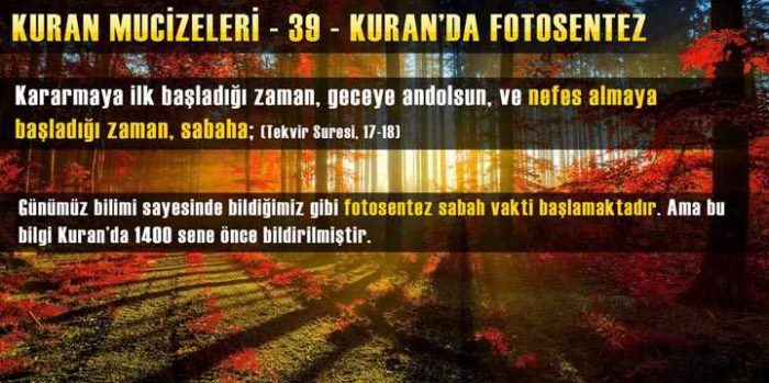 Kuran-ı Kerim mucizeleri