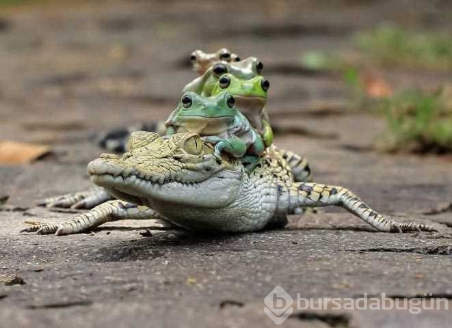 Günün en çok paylaşılan fotoğrafları