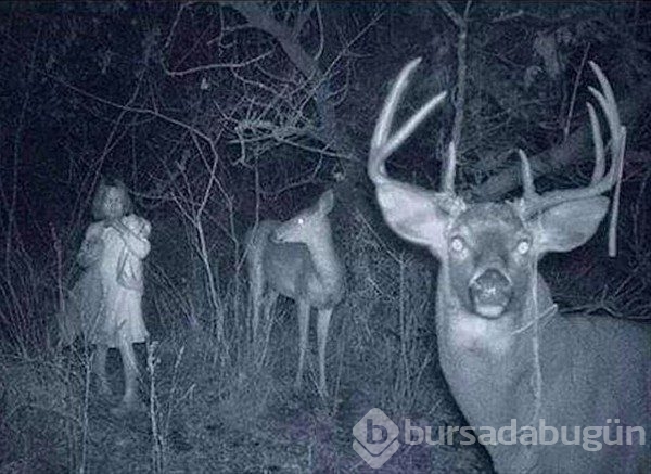 En "meşhur" hayalet fotoğrafları!