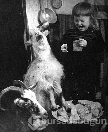 En "meşhur" hayalet fotoğrafları!