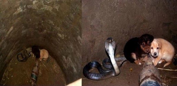 Bu fotoğraflar içinizi ısıtacak