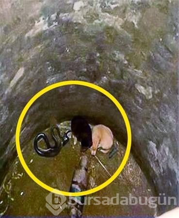 Bu fotoğraflar içinizi ısıtacak