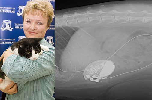 Şaşırtan röntgenler