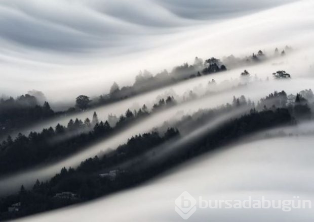 2016 National Geographic'de en iyi doğa fotoğrafları