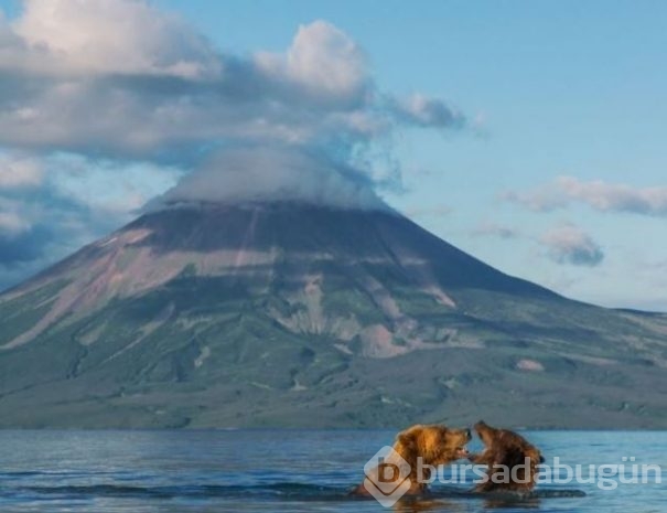 2016 National Geographic'de en iyi doğa fotoğrafları
