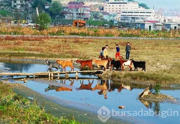 Yaşayıp unuttuğumuz çok az bilinen kareler!