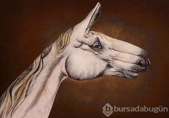 El boyama sanatı ile hayvan figürleri