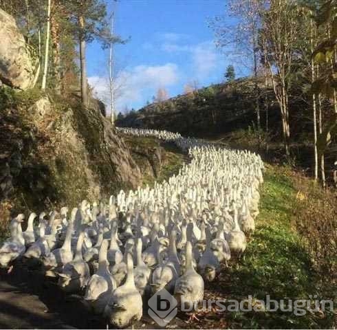 Günün en çok paylaşılan fotoğrafları