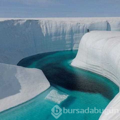 Günün en çok paylaşılan fotoğrafları